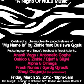 A Night Of NuLu Music, MIAMI WMC 2012