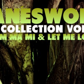 ANANESWORLD REMIX COLLECTION VOL. 2